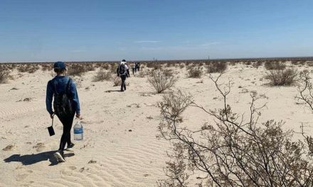 El desierto de Sonora sigue siendo una trampa mortal para migrantes