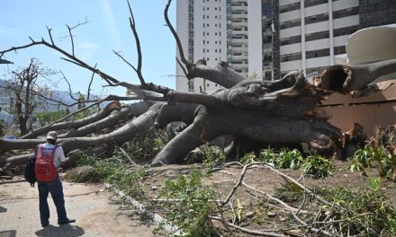 Están en riesgo los 61 mil mdp del Gobierno de AMLO, destinados para reconstrucción de Acapulco