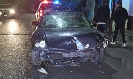 Ebrio irreponsable derriba un árbol en Saltillo