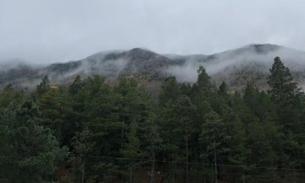 Amanece con temperaturas bajo cero en la Sierra de Arteaga