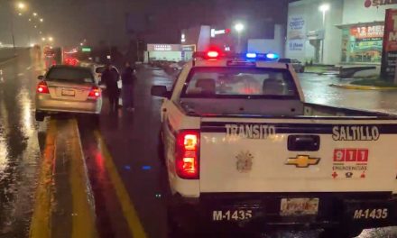 Conductor se ensarta en un camellón de Saltillo