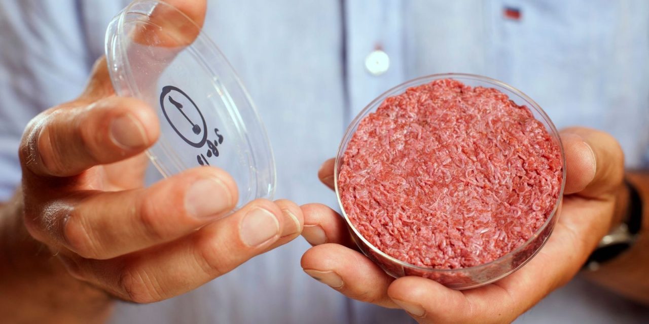 Italia prohíbe la producción y venta de carne sintética