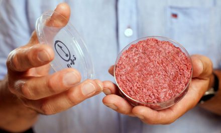 Italia prohíbe la producción y venta de carne sintética