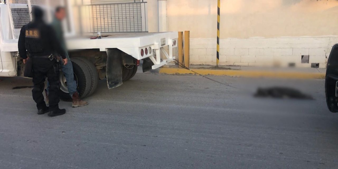 Ebrio arrastra y mata a perro en Saltillo