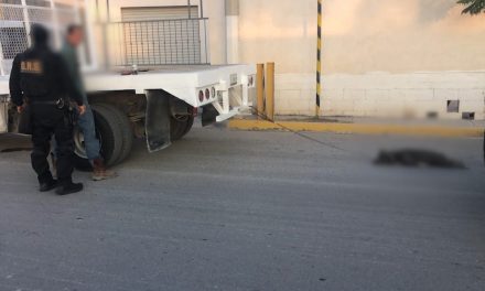 Ebrio arrastra y mata a perro en Saltillo