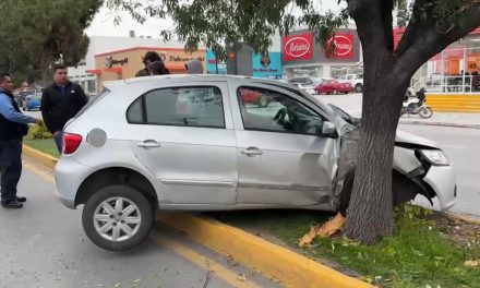 Joven se estampa contra árbol en pleno V. Carranza al intentar esquivar otro carro