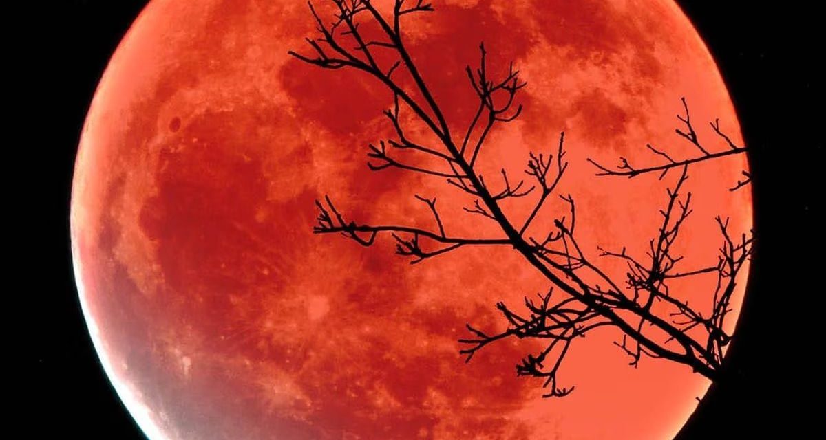 Eventos astronómicos de noviembre: Lluvia de estrellas y Luna de Castor
