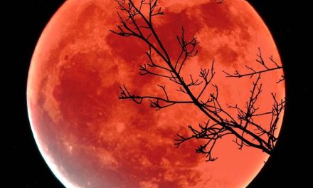 Eventos astronómicos de noviembre: Lluvia de estrellas y Luna de Castor