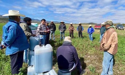 Fortalece Municipio de Saltillo a ejidos con entrega de fertilizante
