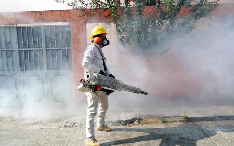 Fumigan espacios públicos para prevenir el dengue en Saltillo