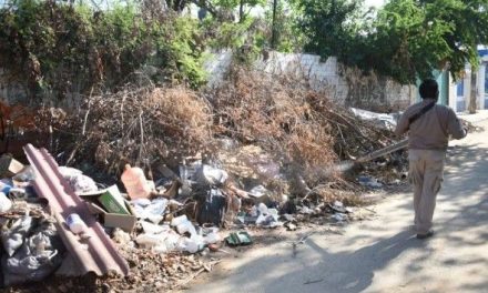 Fumigan Acapulco y Coyuca de Benítez para eliminar dengue, zika y chikungunya