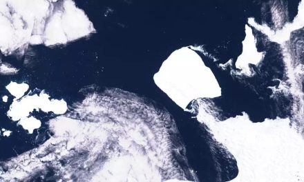 El iceberg más grande del mundo está en movimiento después de 30 años encallado