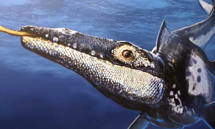 Descubren nueva especie de mosasaurio en Nuevo León, reptil marino que vivió hace 90 millones de años