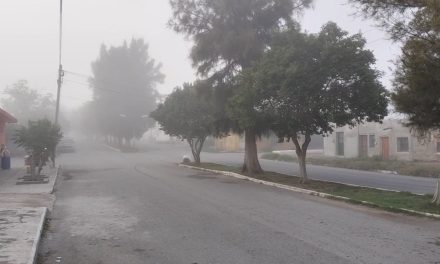 Sorprende la presencia de neblina en Parras de la Fuente