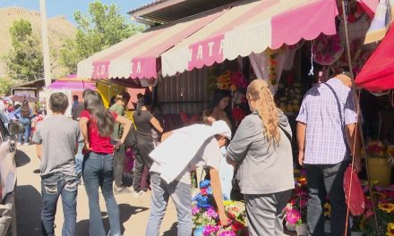 Panteones de Saltillo continúan con gran afluencia