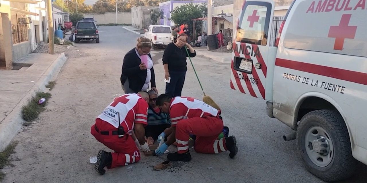 Perro ataca a una mujer adulta mayor en Parras