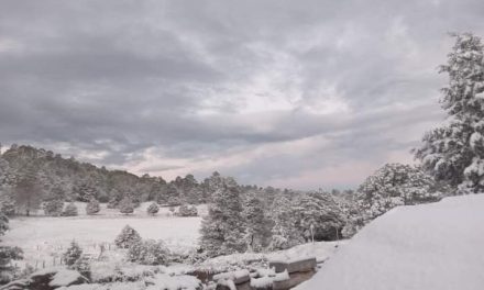 Sierra Tarahumara se cubre de blanco por la primera nevada