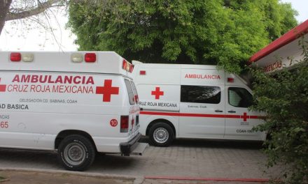 Ataca perro a menor de 3 años en Sabinas