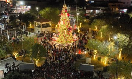 Villamagia ya tiene carrusel en Sabinas