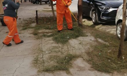 La Ola refuerza limpieza por festejos decembrinos en Torreón