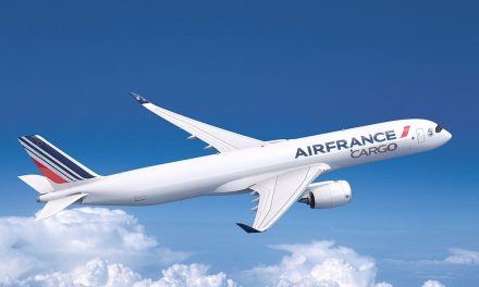 Salva tripulación la vida de un niño de 4 años durante un vuelo de México a París