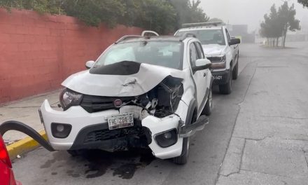 Saltillo: Ebrio choca contra un árbol en colonia Bonanza