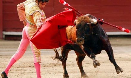 AMLO propone consulta ciudadana sobre prohibición de corridas de toros