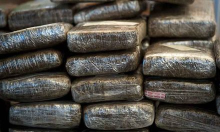 Empacan hasta 3 toneladas de mariguana en una casa de Iztapalapa