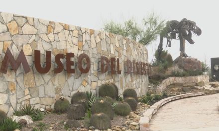 MUDE seguirá innovando sus espacios