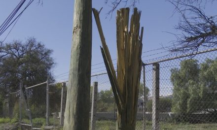 Poste de Teléfonos de México a punto de caer en Ramos Arizpe