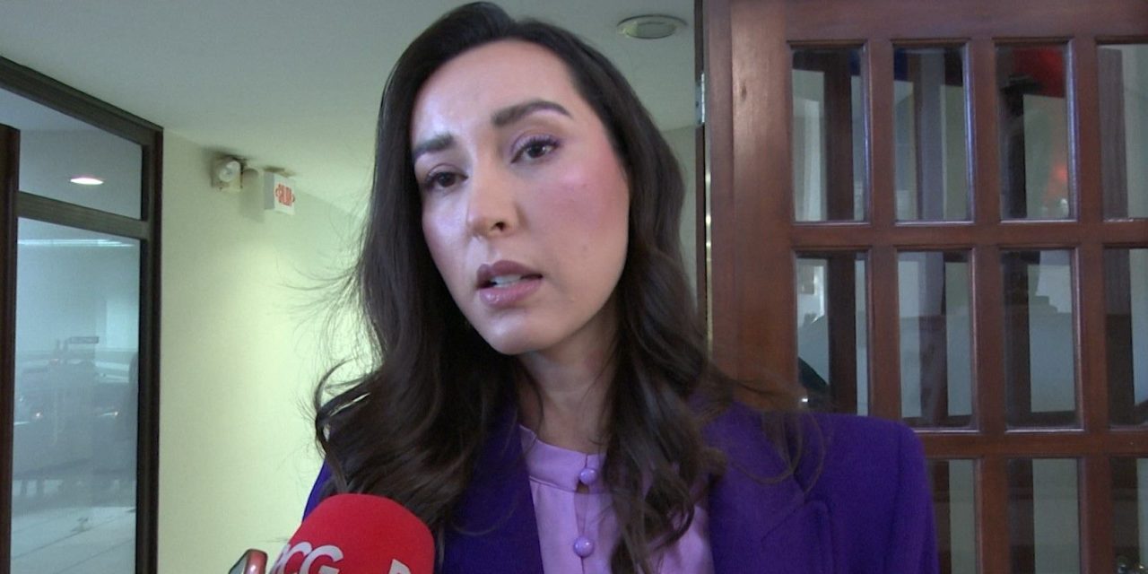 Quedaron temas pendiente en el congreso; afirma Lizbeth Ogazón