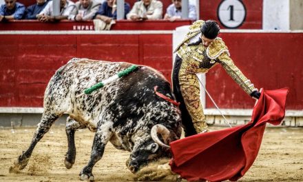 Regresan las corridas de toros a la Plaza México; SCJN da autorización a la fiesta taurina