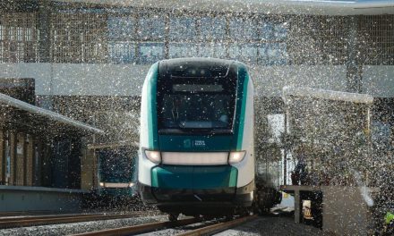 Suspende Tren Maya sus operaciones hasta el siguiente año