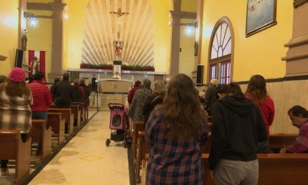 Saltillo: Dan bendición a mascotas domésticas