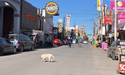 Caen las ventas en comercios hasta en 40%