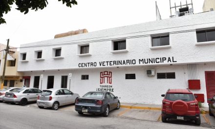 Piden a laguneros registrar a sus animales de compañía