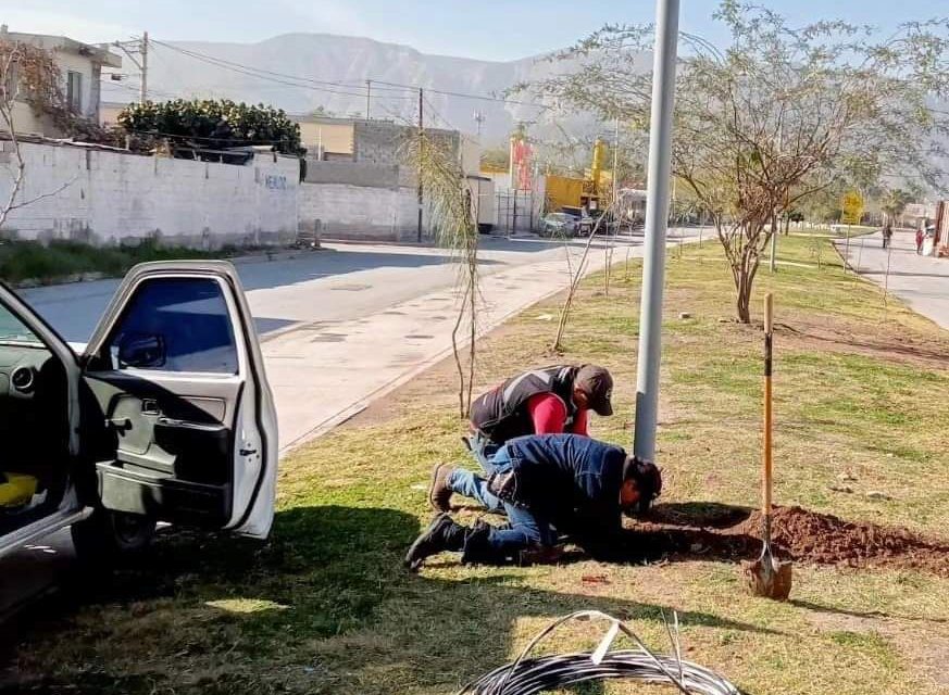 Dan mantenimiento a la Línea Verde en Torreón