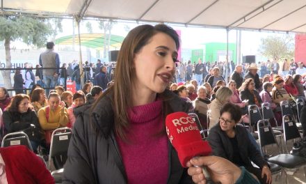 Abre Saltillo centros de acopio de pinos navideños