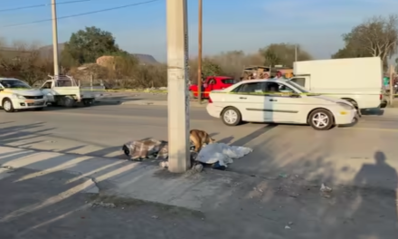 Mueren dos jóvenes motociclistas en la colonia La Florencia, en Saltillo