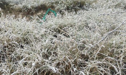 Cae agua nieve en Ramos Arizpe