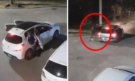 Video: Hombres roban un auto con una bebé a bordo… la avientan a la calle