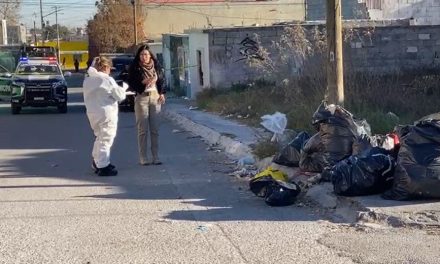 Hallan feto humano en calles de Saltillo