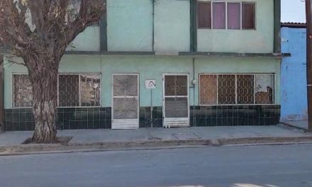 Perro Pitbull mata a adultos mayores en Torreón
