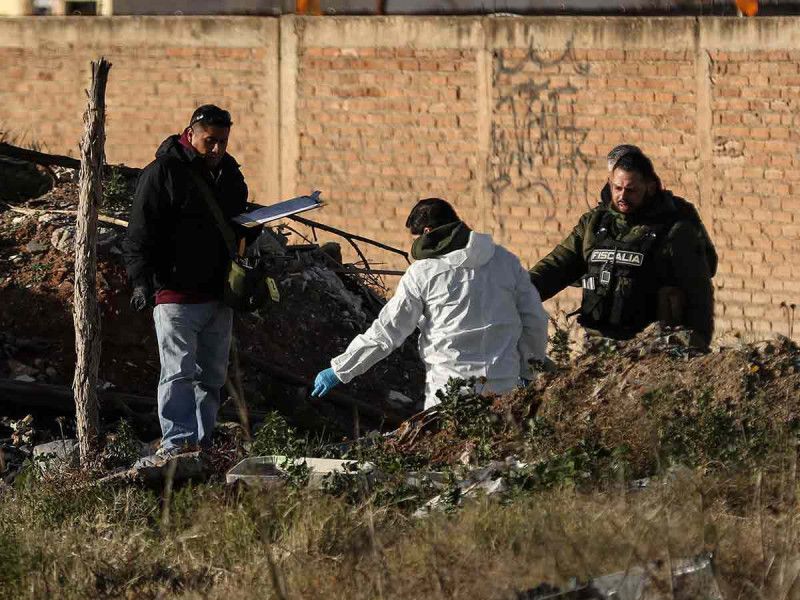 Perros pasean con restos humanos en calles de Zacatecas