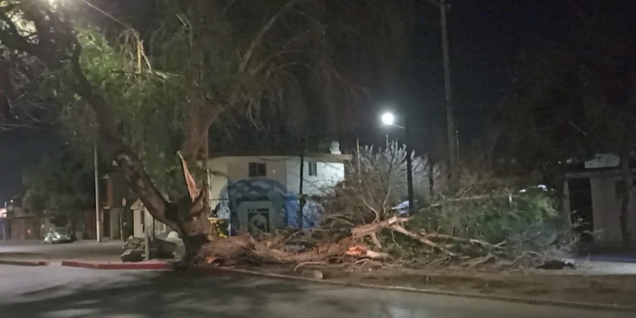 Gobierno de Saltillo se mantiene al pendiente de las condiciones climáticas