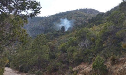 Sofocan incendio en la Sierra de Zapalinamé
