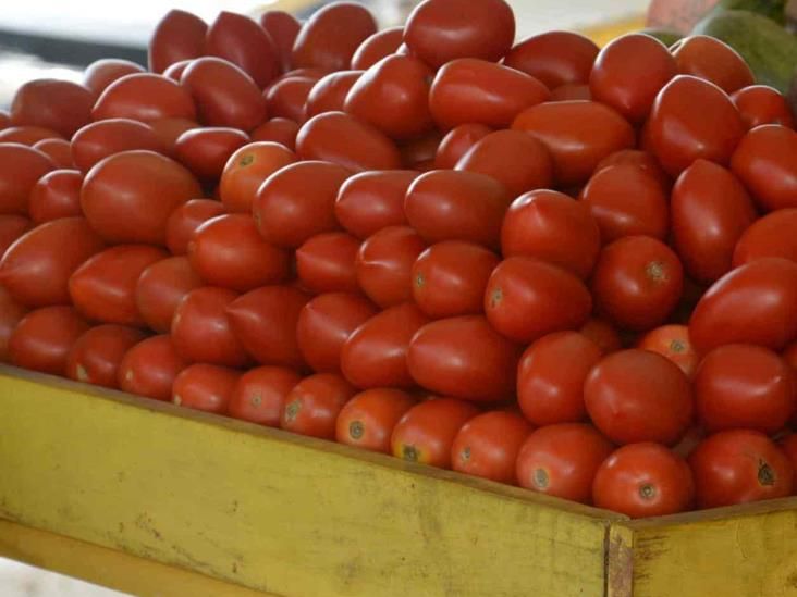 Hasta 70 pesos el kilo de tomate