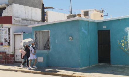 Trámites de escrituración son la mayoría de los trámites brindados en SEVOT