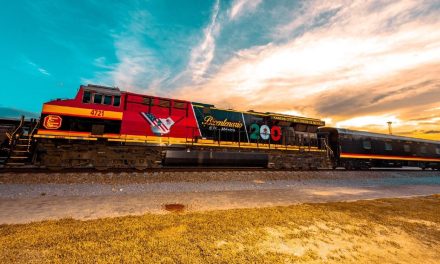 Evalúan propuestas de trenes de pasajeros de la iniciativa privada