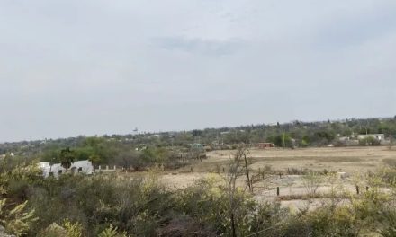 Tolvanera sorprende a Sabinas